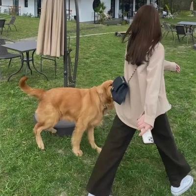 炎女 在线观看封面